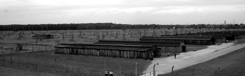 Wooden Barracks of Birkenau